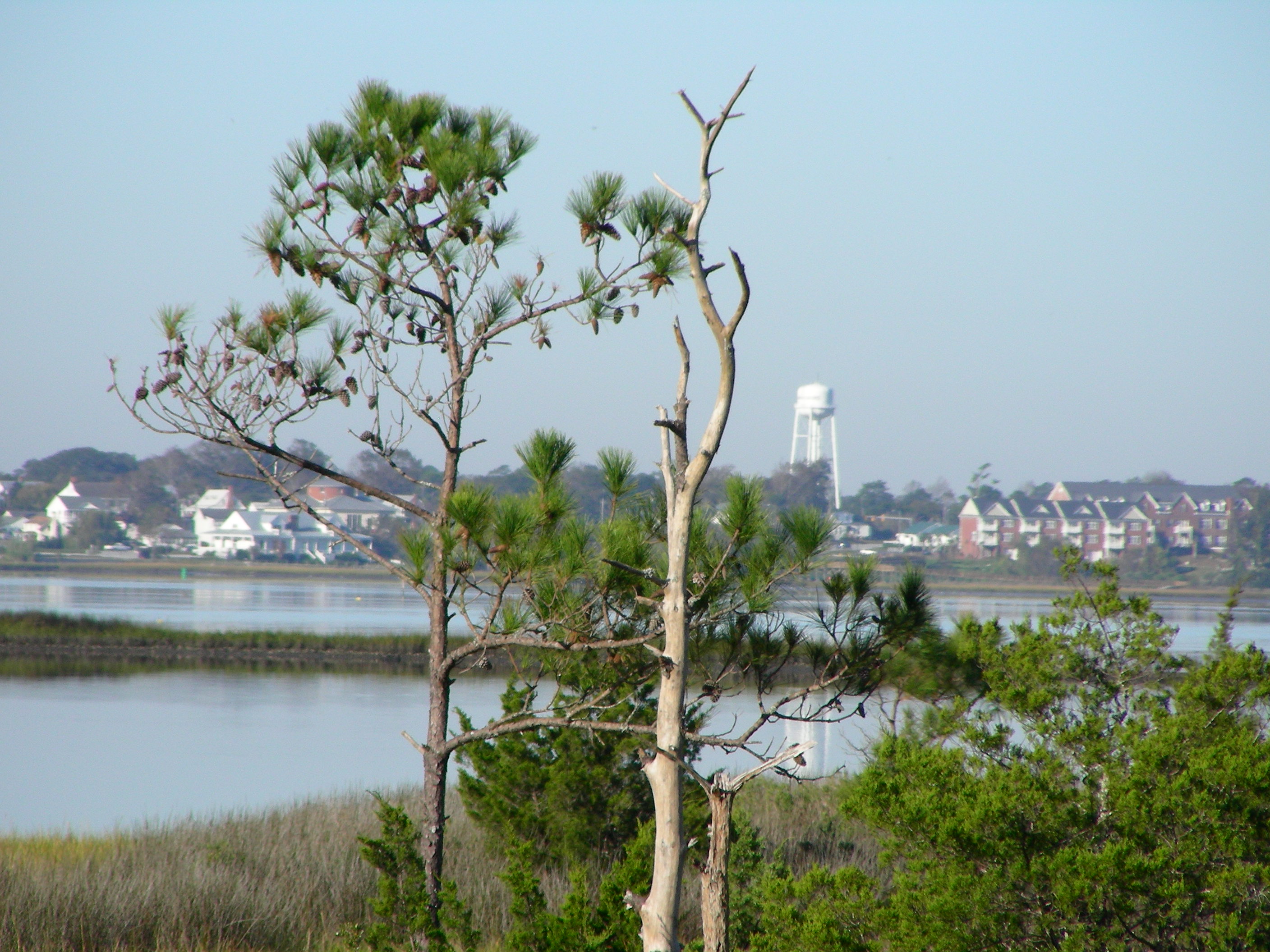 ./2006/Cedar Point/DSCN0384.JPG